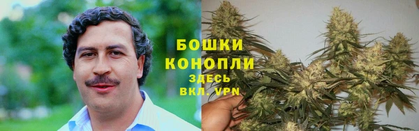 сатива Богородицк