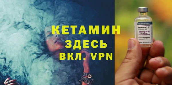 ГАЛЛЮЦИНОГЕННЫЕ ГРИБЫ Богданович