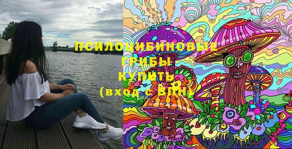 ГАЛЛЮЦИНОГЕННЫЕ ГРИБЫ Богданович