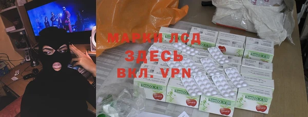 ГАЛЛЮЦИНОГЕННЫЕ ГРИБЫ Богданович