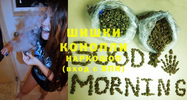 сатива Богородицк