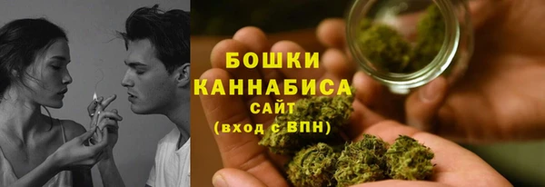 ГАЛЛЮЦИНОГЕННЫЕ ГРИБЫ Богданович