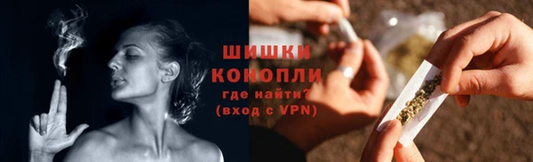 сатива Богородицк