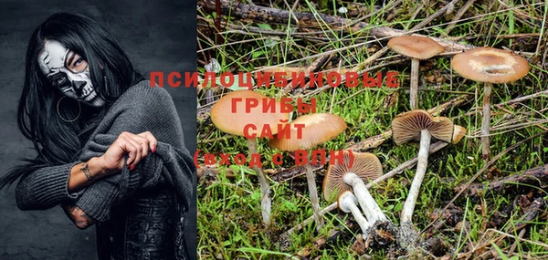 ГАЛЛЮЦИНОГЕННЫЕ ГРИБЫ Богданович