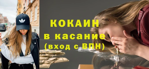 ГАЛЛЮЦИНОГЕННЫЕ ГРИБЫ Богданович