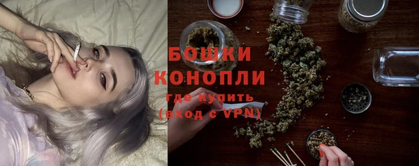 сатива Богородицк