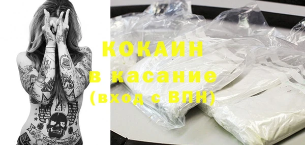 ГАЛЛЮЦИНОГЕННЫЕ ГРИБЫ Богданович