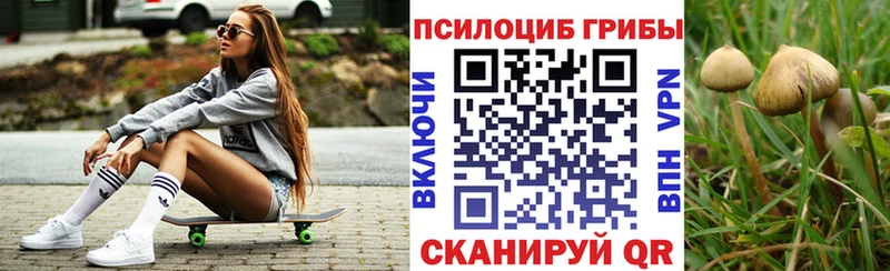 дарк нет телеграм  Кирс  Галлюциногенные грибы мухоморы 